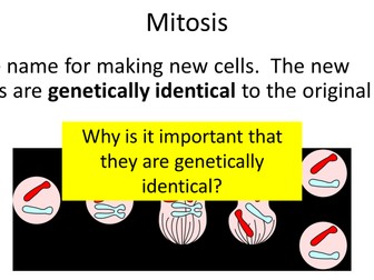 AQA GCSE Combined Science - Mitosis