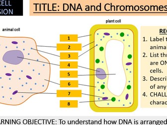 AQA GCSE Cell Division and DNA (Lesson 1)