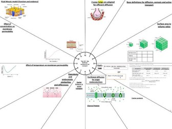 A Level Biology - Edexcel A (SNAB) - Revision Clocks - Topic 2