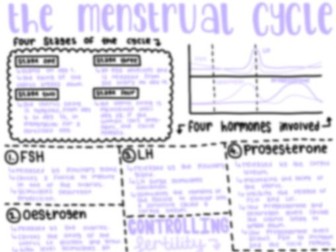 The Menstrual Cycle - Biology Summary Sheet