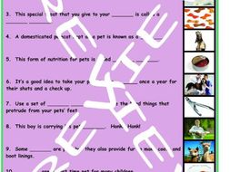 Pets and Pet Care 3 Photo Worksheet Set