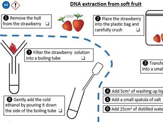 DNA extraction integrated instructions (strawberry)