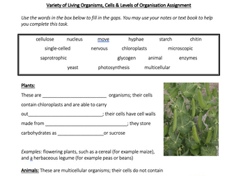 Variety of Living Organisms, Cells & Levels of Organisation Gap-Fill and Multiple Choice