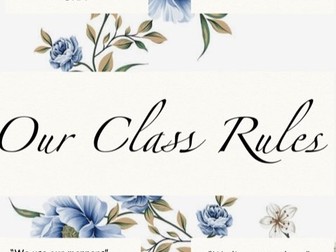 Neutral Class rules poster