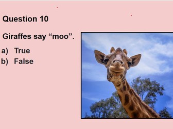 Ten Tutor Time Quizzes: 100 Q & As!