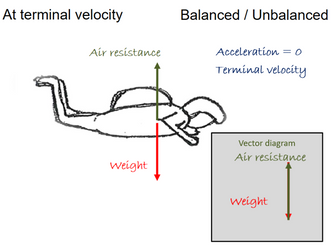 Animated force diagrams