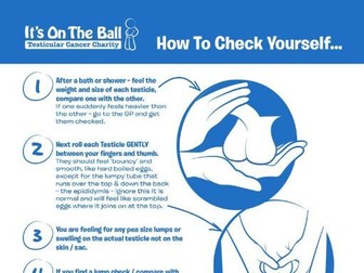 Testicular Cancer: How to Check Yourself