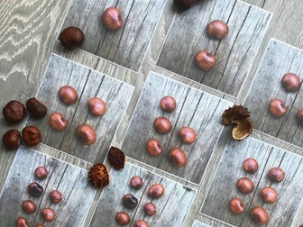 Conker counting images to download-subitise with Autumn!