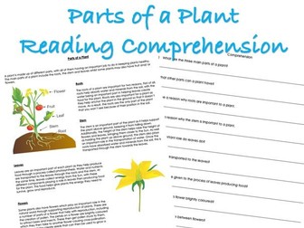 Parts of a Plant Reading Comprehension