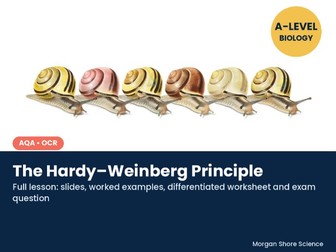 The Hardy-Weinberg Principle - Complete Lesson (A-level Biology, AQA/OCR)