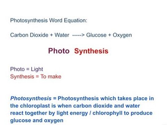 Edexcel GCSE Biology Topic 6 Grade 9 Notes