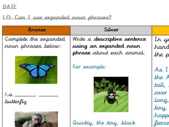 Expanded Noun Phrases (Year 2/Year 3 Rainforest Themed)