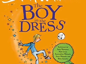 The Boy in the dress by David Walliams  comprehension questions yr5/6