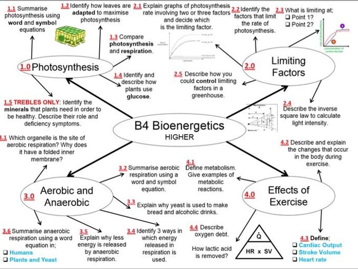 B4 - GCSE AQA Biology Revision HIGHER | Teaching Resources