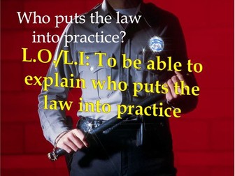 Who puts the law into practice?