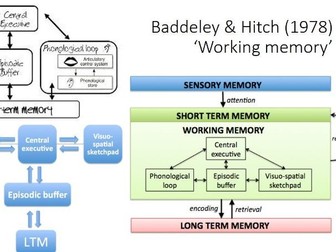 aqa pe level processing information hitch schema baddeley schmidt theory memory working