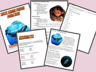 Dyslexia Friendly, SATS, Reading Paper Activities