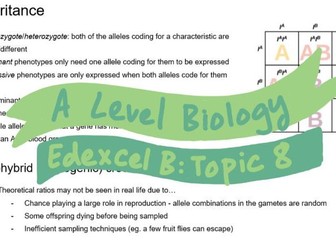 A* Edexcel A Level Biology B Topic 8 - Origins of Genetic Variation Revision Notes