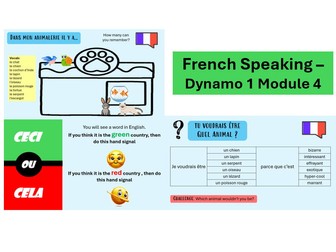 Dynamo 1 Module 4: Speaking lesson