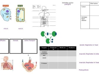 Biology Paper 1 Revision Map