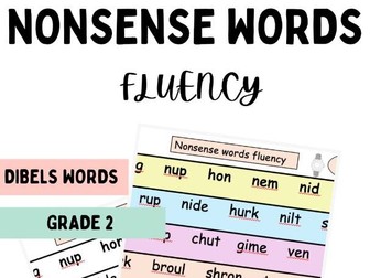 NONSENSE words fluency check Grade 2, DIBELS words