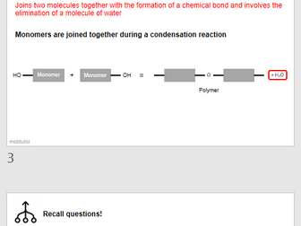 monomers and polymers summary powerpoint