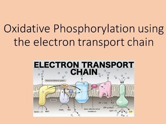 Oxidative Phosphorylation using the Electron Transport Chain (Unit 4 - 2018 curriculum)