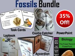 Fossils Task Cards, PowerPoint and Activities Bundle