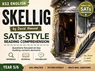 Skellig - SATs Reading Comprehension Questions (Year 5/6) SAMPLE