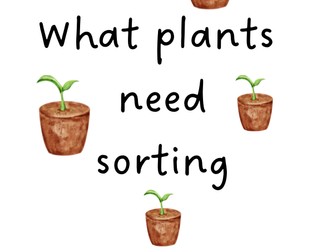 What Plants Need