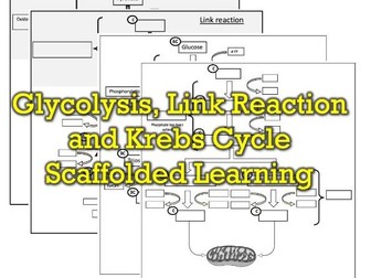 A-level Respiration - scaffolding learning
