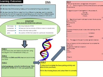 DNA - learning mat