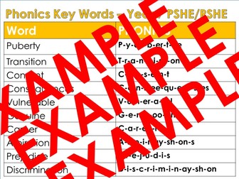PSHE Phonic Key words KS3