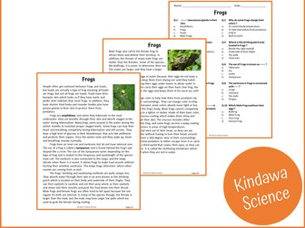 Frogs Reading Comprehension Passage and Questions - PDF