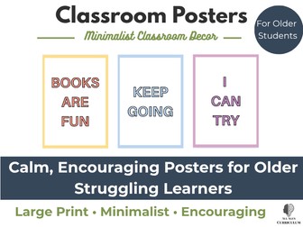 Classroom Posters | Minimalist Classroom Decor for Older Struggling Learners
