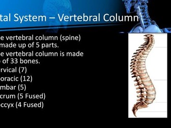 GCSE PE: Lesson 8: Structure and function of the skeletal system