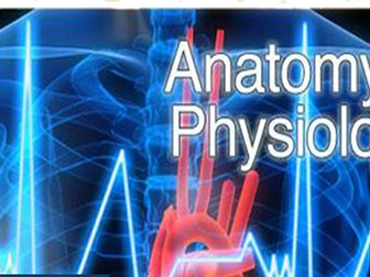 UNIT 4: Anatomy and physiology for health and social care- Cardiovascular system Cambridge technical