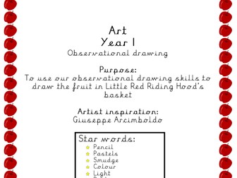 Year 1 Art- Observational Drawing project (Booklet/Unit Overview/7 weeks of lesson plans)