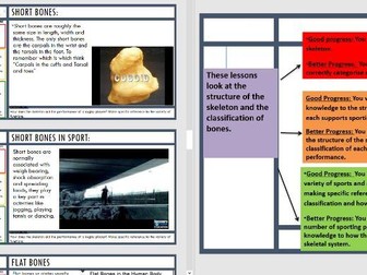 EDEXCEL GCSE PE 1.1.2 and 1.1.3 Classification of Bones & Structure of the skeleton - FULL LESSON