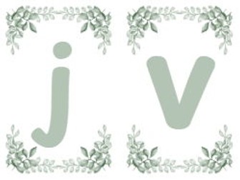 Botanical Phase 3 Phonics Flashcards