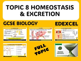 Homeostasis & excretion - iGCSE EDEXCEL