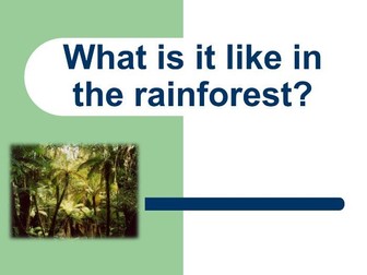 Tropical Rainforests Introduction and Layers Lesson