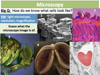 NEW AQA GCSE Cells 7 Microscopy