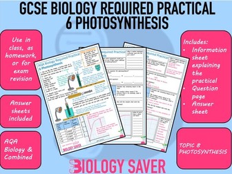 GCSE Biology Practical - 6 Photosynthesis