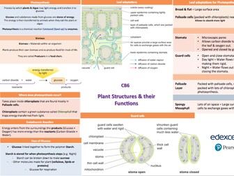 New Edexcel 9-1 Science: CB6 Plant structure and their Functions knowledge organiser