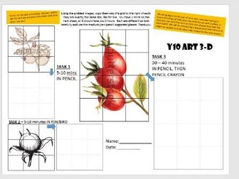 KS4 KS3 Art and Design - Cover Lesson - Drawing in different media - Natural Forms