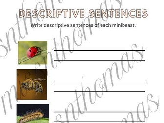 Minibeast descriptive sentences - real pics