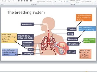 An Introduction to Breathing and Respiration