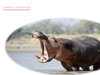 Edexcel A Level Component 3 Essay Structure