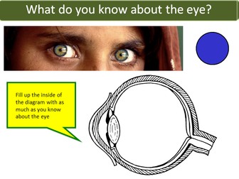 B10.5 The eye AQA GCSE 9-1